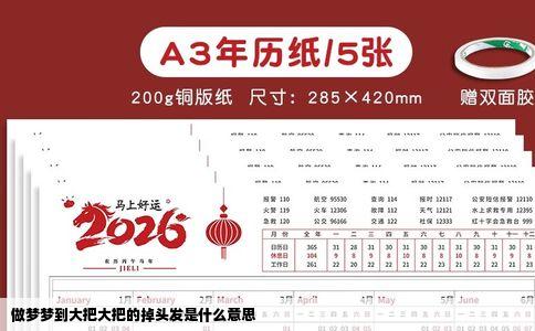 做梦梦到大把大把的掉头发是什么意思