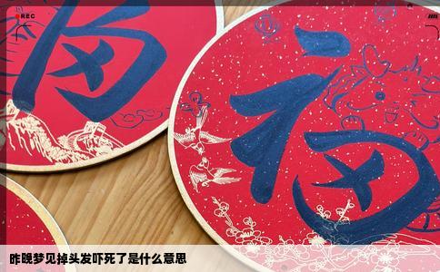 昨晚梦见掉头发吓死了是什么意思