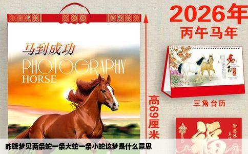 昨晚梦见两条蛇一条大蛇一条小蛇这梦是什么意思